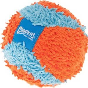 Chuckit! Indoor Fetch Ball Dog Toy (4.75 Inch)